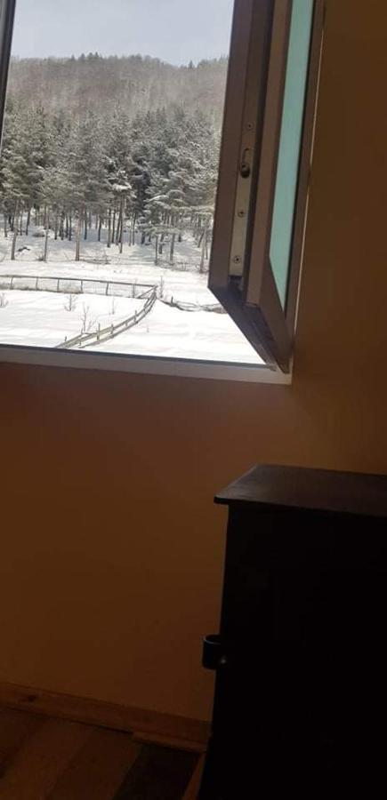 Guesthouse Caucasus Mestia Exterior photo